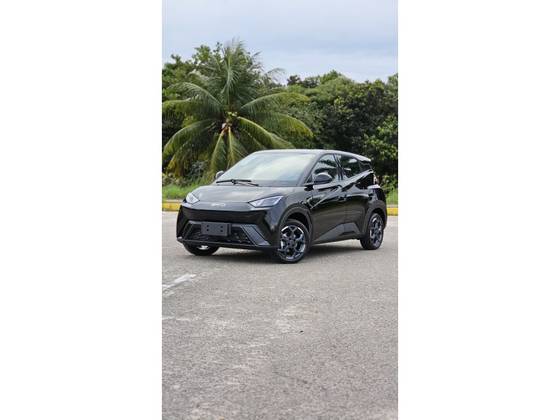BYD DOLPHIN MINI 38 KW ELÉTRICO GS